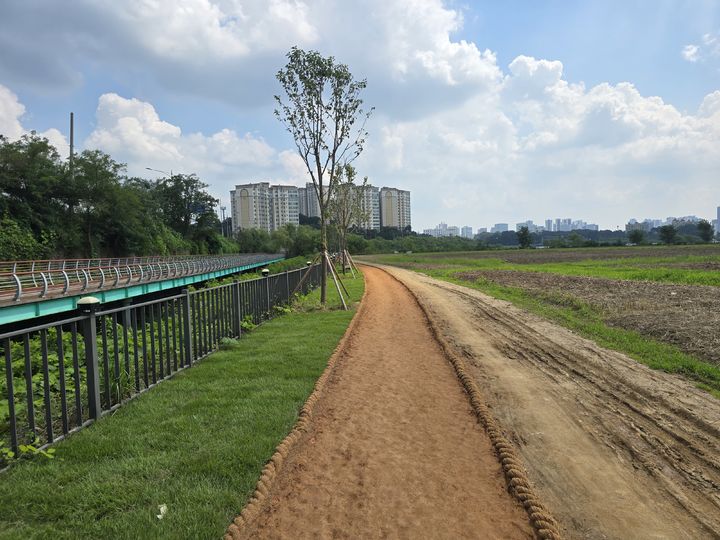 [용인=뉴시스]용인시 기흥구 공세동에 조성된 맨발길.(사진=용인시 제공)2025.08.27.photo@newsis.com *재판매 및 DB 금지