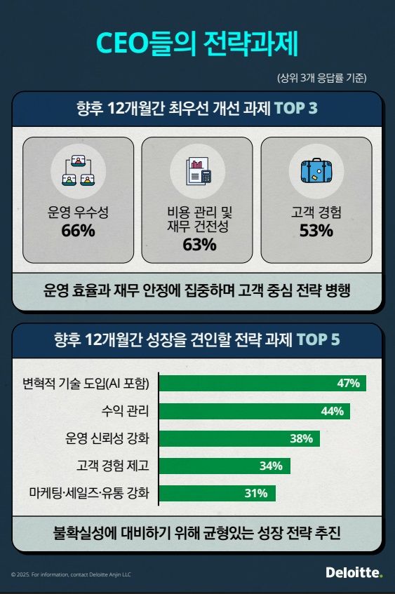 [서울=뉴시스] 이지민 기자 = 한국 딜로이트 그룹은 이 같은 설문 결과를 담은 '글로벌 항공사 CEO 서베이: 실행 가능성과 성과 중심으로 개편되는 항공사 전략'을 발표했다고 27일 밝혔다. (사진=한국 딜로이트 그룹 제공) 2025.08.27. photo@newsis.com *재판매 및 DB 금지