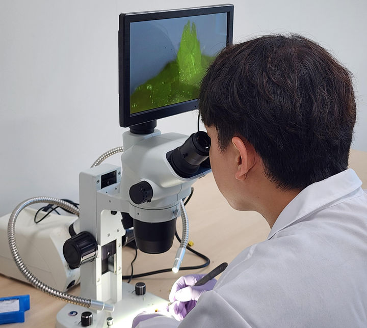 [진주=뉴시스] 진주시 '딸기 꽃눈분화 검경서비스 지원'. (사진=진주시 제공) 2025.08.27. photo@newsis.com *재판매 및 DB 금지