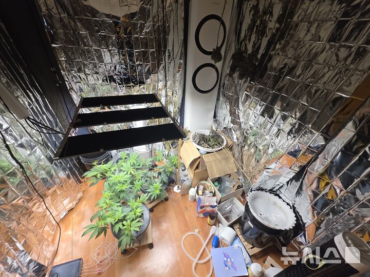 중부해양경찰청 제공