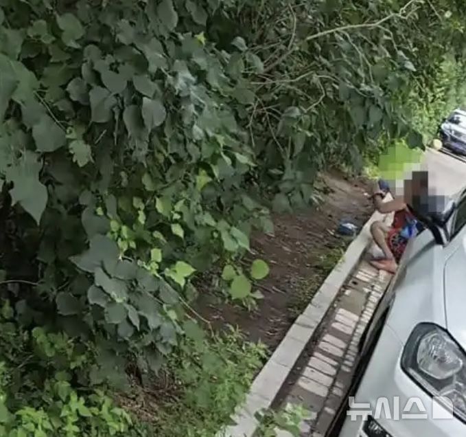 [뉴시스] 여성이 바퀴벌레 수십마리가 담긴 파란색 봉투를 들고와 방생하고 있다. (사진=홍성신문) 