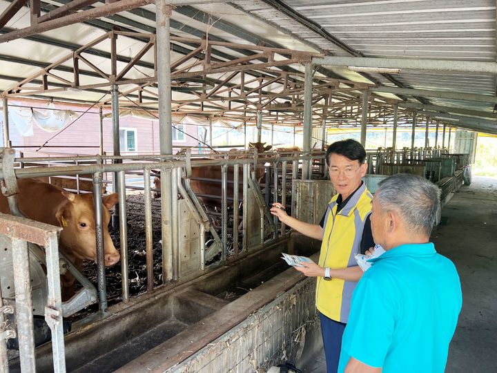 [함양=뉴시스] 경남 함양군 올해 하절기 가축 무료 순회진료. (사진=함양군 제공) 2025.08.27. photo@newsis.com *재판매 및 DB 금지