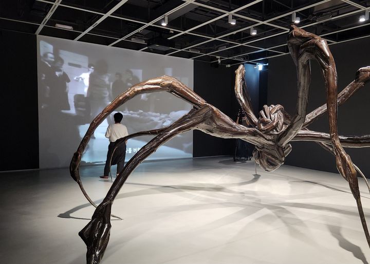 [사진=박현주 미술전문기자] 호암미술관 '덧없고 영원한' 대형 마망 전시 전경. 1978년 처음 선보인 퍼포먼스 영상과 함께 선보인다. *재판매 및 DB 금지