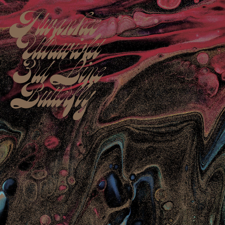 [서울=뉴시스] 3호선 버터플라이 EP '환희보라바깥'. (사진 = 오름 엔터테인먼트 제공) 2025.08.28. photo@newsis.com *재판매 및 DB 금지