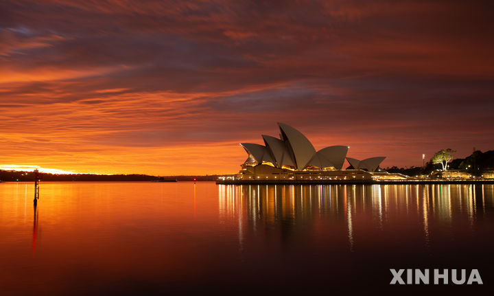 "뛰는 놈 위에 나는 놈"…호주 청소년 SNS 규제 피하는 법