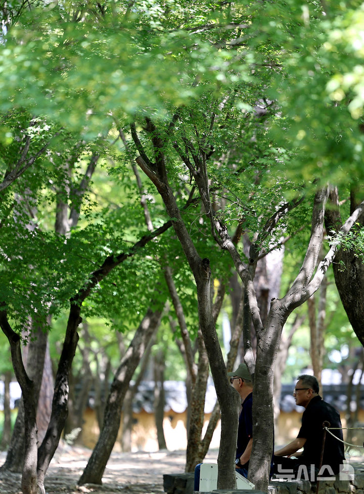 [대구=뉴시스] 이무열 기자 = 폭염이 연일 계속되고 있는 27일 대구 달서구 두류공원 나무그늘 아래서 시민들이 더위를 식히고 있다. 2025.08.27. lmy@newsis.com