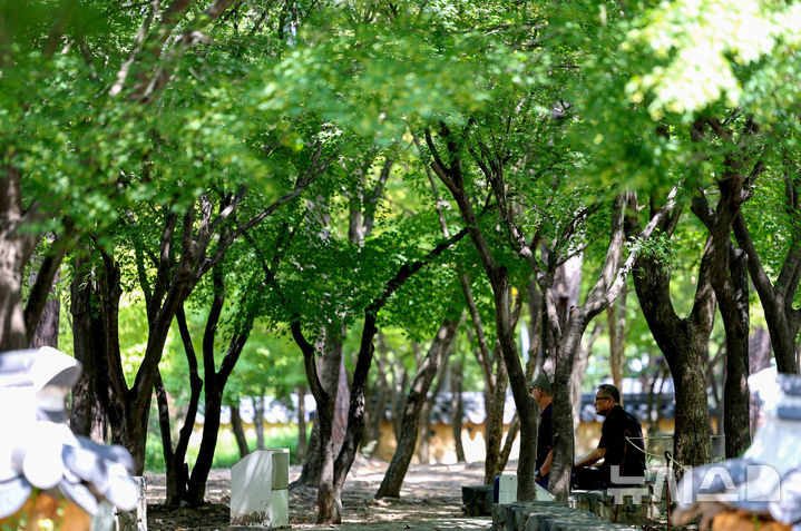 [대구=뉴시스] 이무열 기자 = 폭염이 연일 계속되고 있는 27일 대구 달서구 두류공원 나무그늘 아래서 시민들이 더위를 식히고 있다. 2025.08.27. lmy@newsis.com