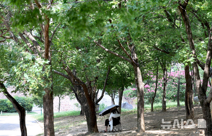 [대구=뉴시스] 이무열 기자 = 폭염이 연일 계속되고 있는 27일 대구 달서구 두류공원 나무그늘 아래서 한 시민이 더위를 식히고 있다. 2025.08.27. lmy@newsis.com