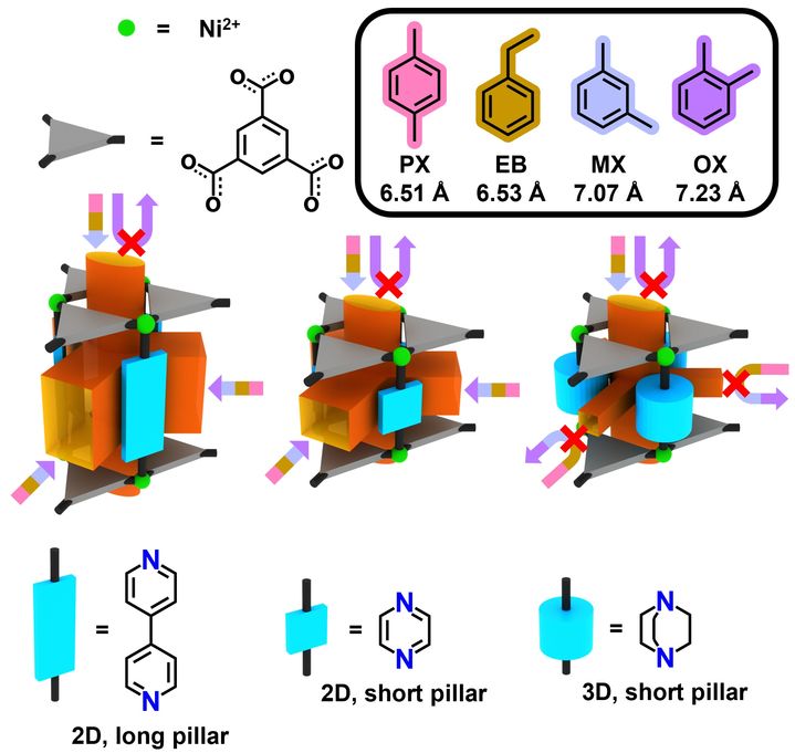 [울산=뉴시스] 울산과학기술원(UNIST) 연구 그림. 자일렌 이성질체 분리를 위한 MOF 구조 설계와 분자 선택성 메커니즘. (사진=(UNIST 제공) 2025.08.28. photo@newsis.com *재판매 및 DB 금지