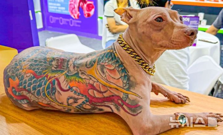 [서울=뉴시스](사진=사우스차이나모닝포스트)