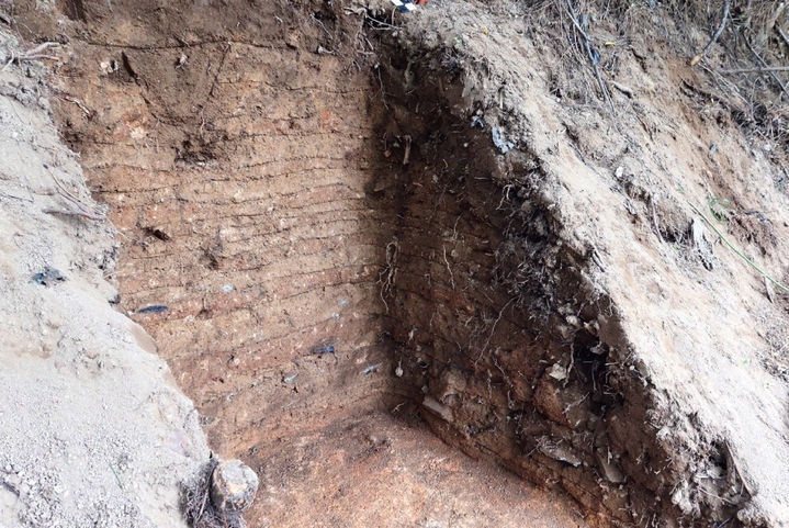 [서울=뉴시스] 부여군 부여읍 쌍북리 일대의 유구분포조사 지역 3-1구역 북쪽에서 발견된 성토층 (사진=국가유산청 제공) 2025.08.28. photo@newsis.com *재판매 및 DB 금지