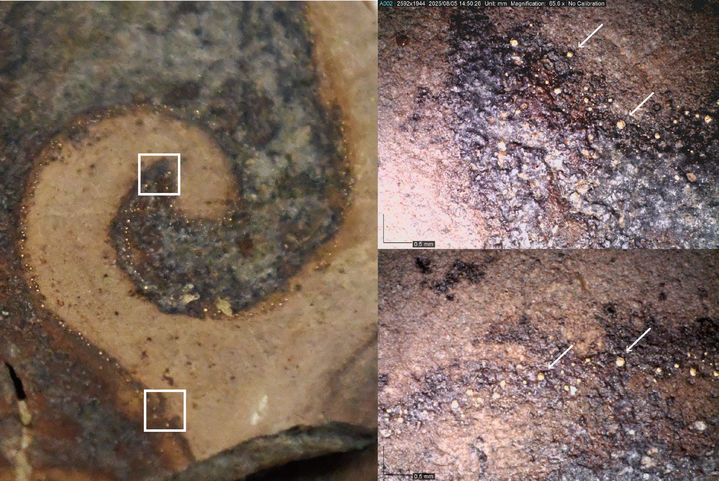 [서울=뉴시스] 부여군 부여읍 쌍북리 일대의 유구분포조사 지역 3-1구역 북쪽에서 발견된 광배 조각의 화염문에 사용한 금니 세부사진 (사진=국가유산청 제공) 2025.08.28. photo@newsis.com *재판매 및 DB 금지