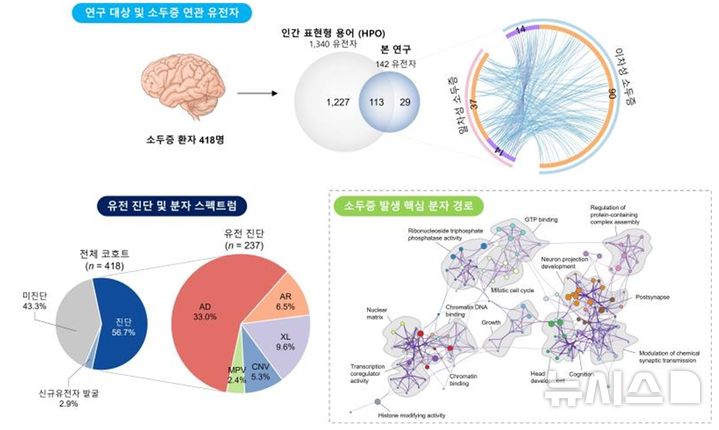 [서울=뉴시스]&nbsp; 국내 소두증 유전자 스펙트럼 규명. (사진= 서울대병원 제공)