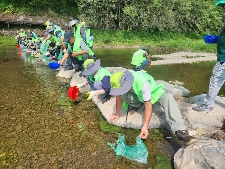  [의성=뉴시스] 의성군 남대천 수변공원에서 토종 치어 4000마리를 방류하고 있다. (사진=의성군 제공) 2025.08.28. photo@newsis.com *재판매 및 DB 금지