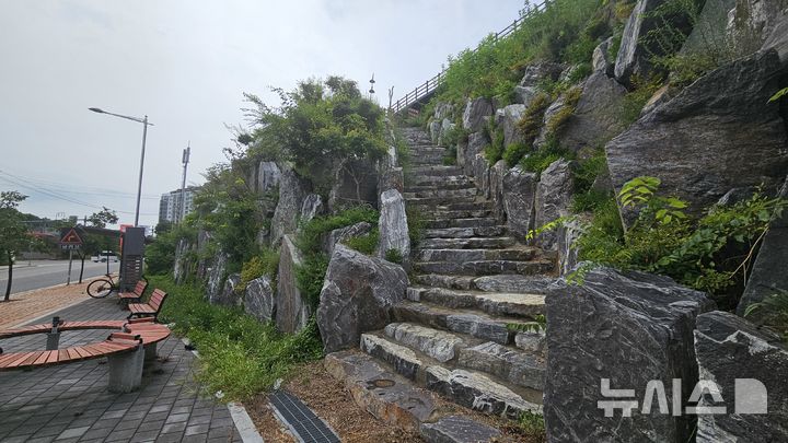 [영동=뉴시스] 연종영 기자 = 28일 충북 영동군 영동읍 영동군청 입구 옹벽. 자연석과 화초로 꾸며 인공적인 느낌을 줄였다. 2025.08.28. jyy@newsis.com