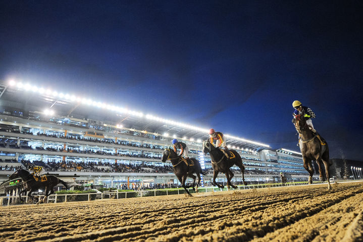 [서울=뉴시스] 한국마사회, 오는 10월4일까지 매주 금·토요일 야간 경마 시행. (사진=한국마사회 제공) *재판매 및 DB 금지
