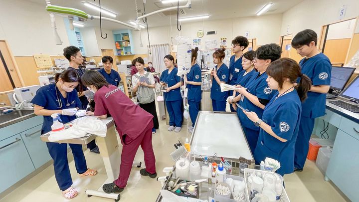  *재판매 및 DB 금지