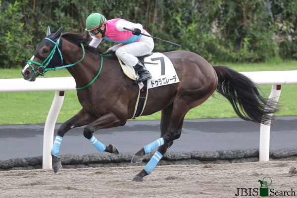 [서울=뉴시스] 일본의 유명마 두라에레데. (사진=JBIS 제공) *재판매 및 DB 금지
