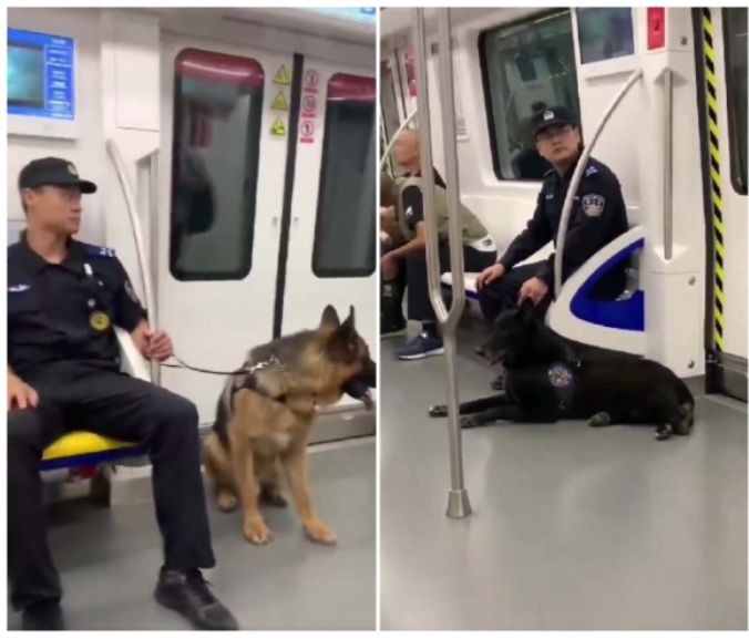 [뉴시스] 베이징 지하철 객차 내 공안 요원들이 경찰견과 함께 승객들을 감시하고 있다. 몇몇 공안은 경찰견을 데려와 출입문 앞에 앉아 경계하는 모습도 포착됐다.(사진=신탕런TV) 