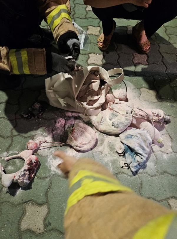 [서울=뉴시스] 당시 관광객의 짐(왼쪽)과 열차 안 상황(오른쪽). 2025.08.28. (사진=서울교통공사 제공) *재판매 및 DB 금지