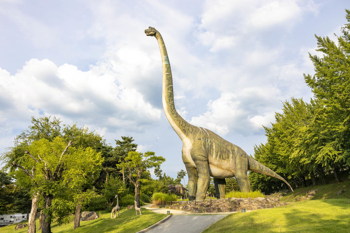 [칠곡=뉴시스] 가산수피아에 세워진 거대한 공룡. (사진=칠곡군 제공) 2025.08.29 photo@newsis.com *재판매 및 DB 금지