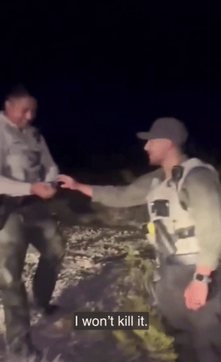 [뉴시스]그랜드 카운티 보안관 고메즈는 순찰 중 발견한 토끼를 차량에 던졌다. (사진=데일리메일) 2025.8.28&nbsp; *재판매 및 DB 금지