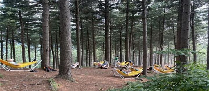 숲체원, 4050 일자리·힐링캠프. *재판매 및 DB 금지
