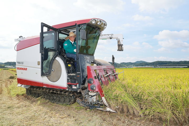  [예천=뉴시스] 김학동 예천군수가 올해 첫 벼베기 행사에서 콤바인을 운전해 벼를 수확하고 있다. (사진=예천군 제공) 2025.08.29. photo@newsis.com *재판매 및 DB 금지