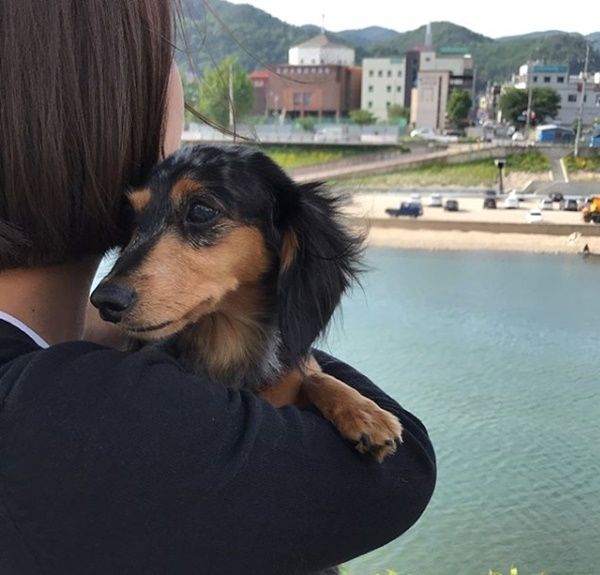 [서울=뉴시스] 그룹 '샤이니' 멤버 고(故) 종현이 생전 아끼던 반려견 루가 세상을 떠났다. (사진=인스타그램 캡처) 2025.08.29. photo@newsis.com *재판매 및 DB 금지