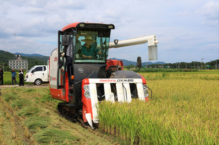 [동해=뉴시스] 동해시 망상동 일원에서 올해 첫 벼베기를 하고 있는 모습.(사진=동해시 제공)photo@newsis.com *재판매 및 DB 금지