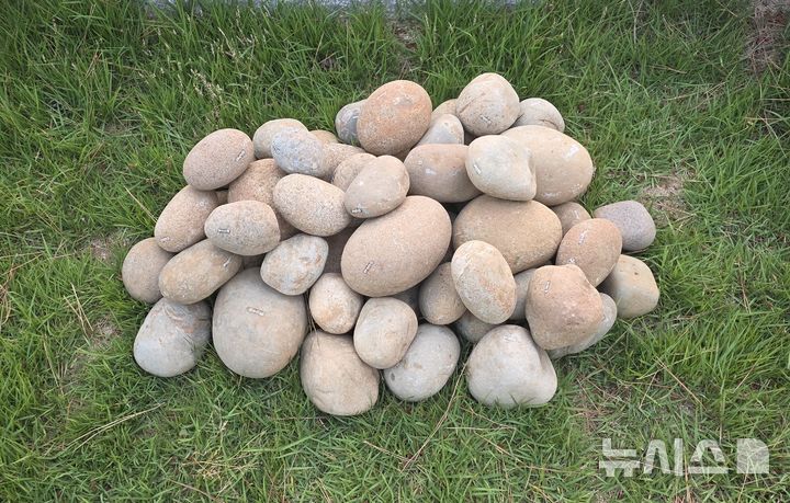 [창원=뉴시스]400여 년 전 임진왜란의 격랑 속에서 나라를 지키기 위해 던져졌던 '호국의 돌', 남해 임진성 석환(石丸)들.(사진=국립창원대 제공) 2025.08.29. photo@newsis.com