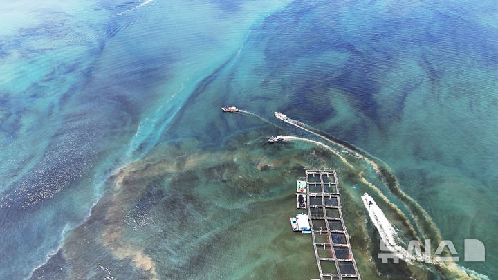 [남해=뉴시스] 차용현 기자 = 29일 경남 남해군 고현면 차면마을 인근 해안에 적조가 밀려와 어선들이 방제 작업을 펼치고 있다. 2025.08.29. con@newsis.com