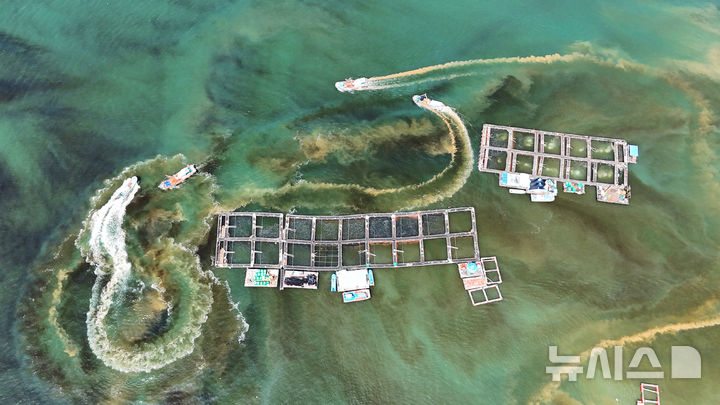 [남해=뉴시스] 차용현 기자 = 29일 경남 남해군 고현면 차면마을 인근 해안에 적조가 밀려와 어선들이 방제 작업을 펼치고 있다. 2025.08.29. con@newsis.com