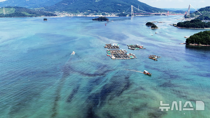 [남해=뉴시스] 차용현 기자 = 29일 경남 남해군 고현면 차면마을 인근 해안에 적조가 밀려와 어선들이 방제 작업을 펼치고 있다. 2025.08.29. con@newsis.com