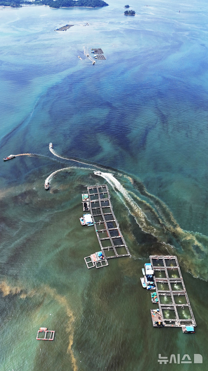 [남해=뉴시스] 차용현 기자 = 29일 경남 남해군 고현면 차면마을 인근 해안에 적조가 밀려와 어선들이 방제 작업을 펼치고 있다. 2025.08.29. con@newsis.com