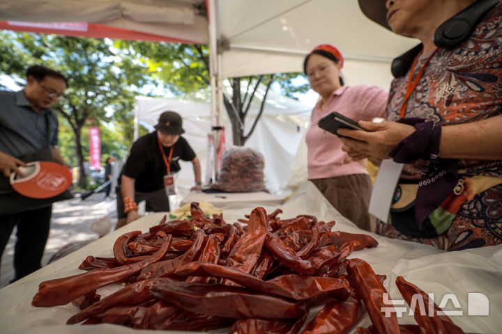[서울=뉴시스] 정병혁 기자 = 29일 서울 중구 서울광장에서 열린 2025 영양고추 핫 페스티벌을 찾은 시민들이 참가 농가의 고추를 살펴보고 있다. 2025.08.29. jhope@newsis.com