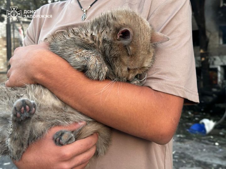 [서울=뉴시스]우크라이나 비상국은 텔레그램을 통해 "밤사이 적(러시아)이 자포리자에 대규모 공격을 가했다"고 밝혔다. (사진=우크라이나 비상국 갈무리) 2025.08.30. *재판매 및 DB 금지