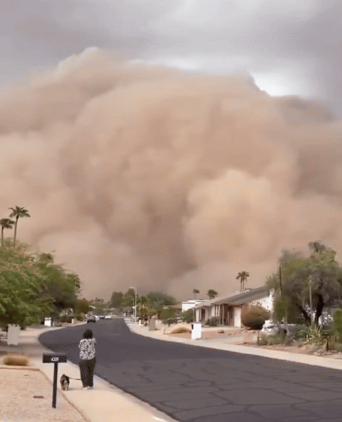 [뉴시스] 미국 애리조나주에서 '하부브' 모래폭풍이 마을을 덮쳤다. 2025.08.30. (사진=엑스 캡처). *재판매 및 DB 금지