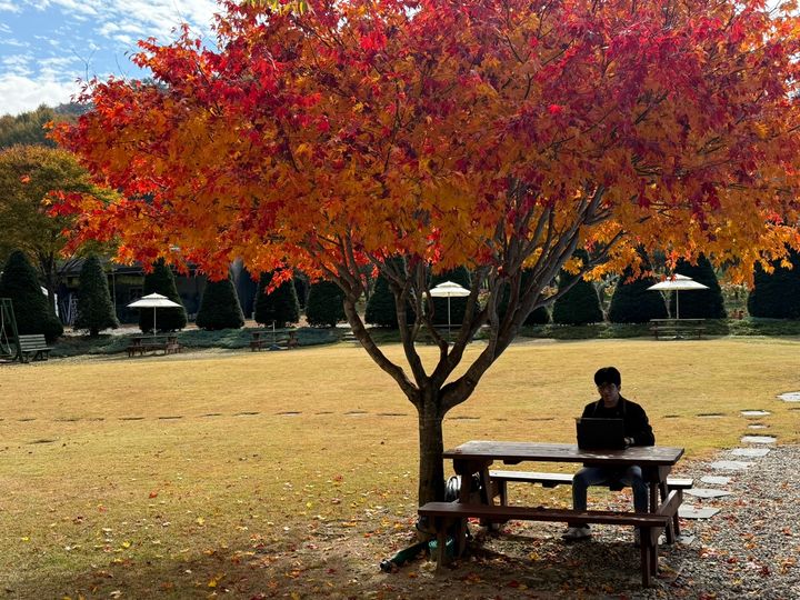 [세종=뉴시스] 농림축산식품부는 다음달부터 11월까지 전국 단위로 '농촌 워케이션' 사업을 추진한다고 31일 밝혔다. 사진은 강원도 홍성의 워케이션 공간 모습. (사진 = 농식품부 제공) 2025.08.31. *재판매 및 DB 금지