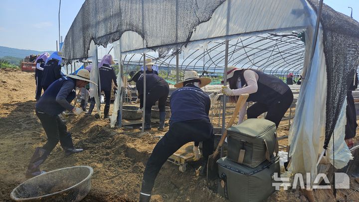 [산청=뉴시스]경상남도청년봉사단이 30일 산청군 신안면을 찾아 집중호우 때 파손된 하우스 내 토사 제거, 오염 물품 수거 등 복구 작업에 구슬땀을 흘리고 있다.(사진=경상남도자원봉사센터 제공) 2025.08.30. photo@newsis.com