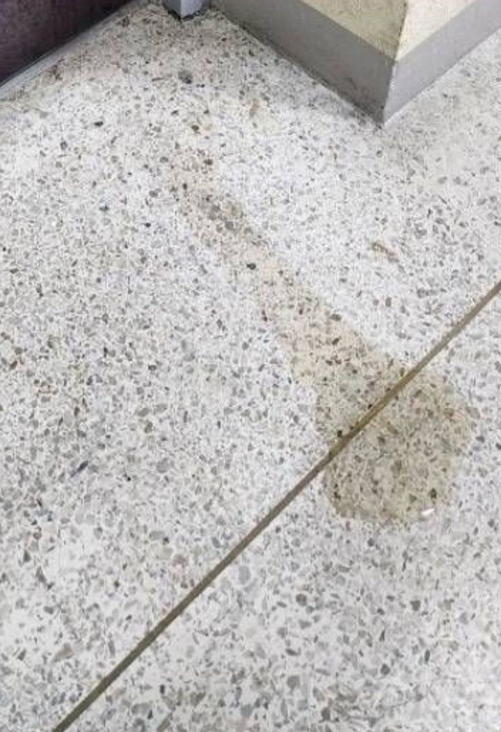 [뉴시스] 배달기사가 자리를 뜬 뒤 엘리베이터 앞에 남아 있는 소변. (사진=보배드림 캡처) 2025.8.31 *재판매 및 DB 금지