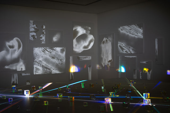 [대구=뉴시스] 대구 어울아트센터 '무해한 힘의 미학' 전시 김선희 작가 작품 전경. (사진=행복북구문화재단 제공) 2025.08.31. photo@newsis.com *재판매 및 DB 금지