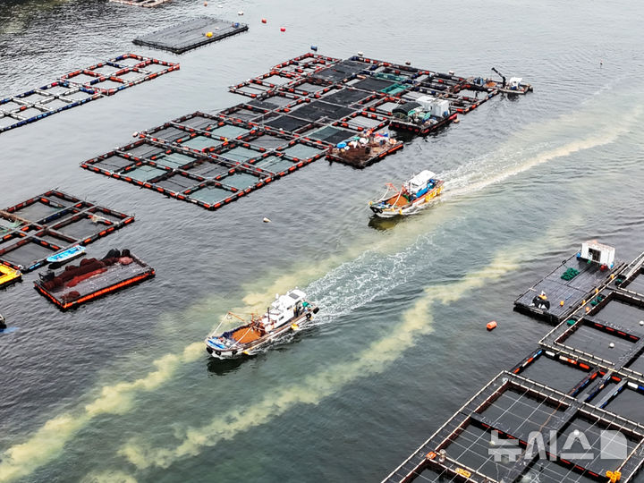 [남해=뉴시스] 차용현 기자 = 31일 경남 남해군 미조면 인근 해안에서 어선들이 황토를 살포하며 적조 방제작업을 펼치고 있다. 2025.08.31. con@newsis.com