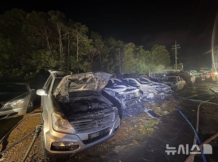 [김포=뉴시스]정일형 기자 =불에탄 차량 모습. (사진=김포소방서 제공)