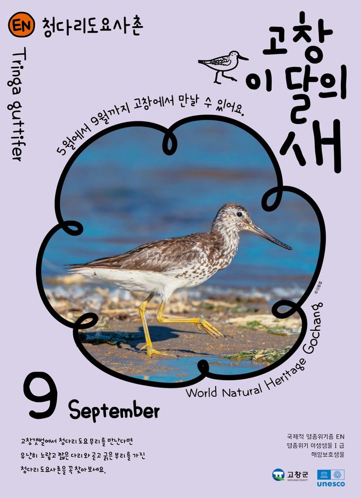 *재판매 및 DB 금지