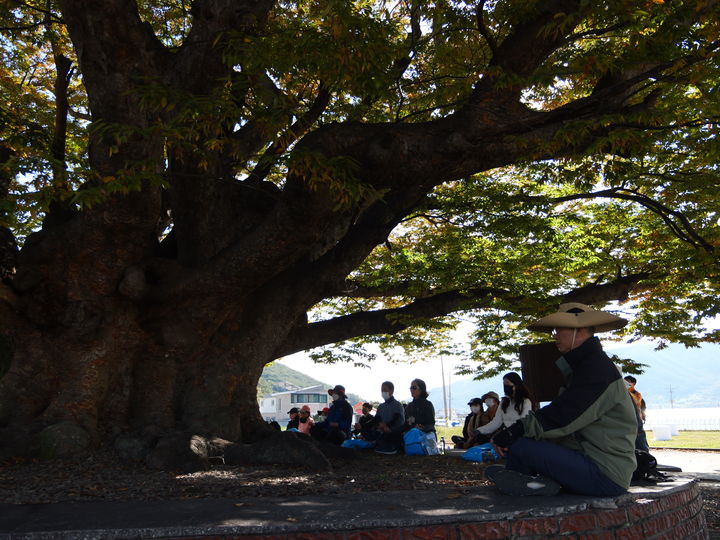 [고성=뉴시스] 올해 상반기 고성해양치유길 프로그램 운영 모습. (사진=고성군 제공) 2025.09.01. photo@newsis.com *재판매 및 DB 금지