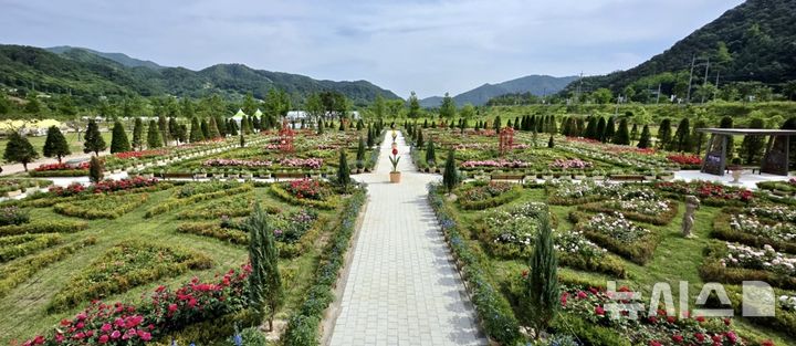 [포천=뉴시스] 포천 한탄강 가든페스타. (사진=포천시청 홈페이지 캡처) 2025.09.01 photo@newsis.com