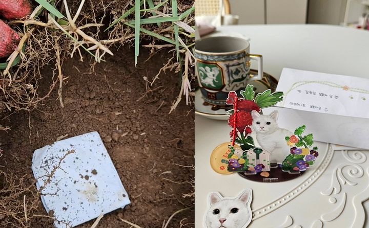 [서울=뉴시스] 배우 김정난이 지난달 13일 세상을 떠난 반려묘 루루를 수목장 하고 있다. (사진=김정난 인스타그램 캡처) 2025.09.01. photo@newsis.com *재판매 및 DB 금지