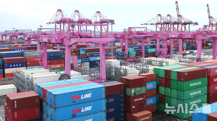 [인천=뉴시스] 전진환 기자 = 1일 산업통상자원부가 발표한 '8월 수출입 동향'에 따르면 수출은 1년 전보다 1.3% 증가한 584억 달러(81조1176억원)로 동월 기준 역대 최대치를 기록했다. 우리나라 주력 수출 품목인 반도체는 역대 최대 실적을 경신했고, 자동차 역시 8월 기준 최대 실적을 기록하며 수출 증가세를 주도했다. 다만 상호관세 영향으로 미국으로의 수출은 전년 대비 12% 감소했다. 이 날 인천 연수구 인천신항 컨테이너 터미널에 컨테이너가 쌓여 있다. 2025.09.01. amin2@newsis.com