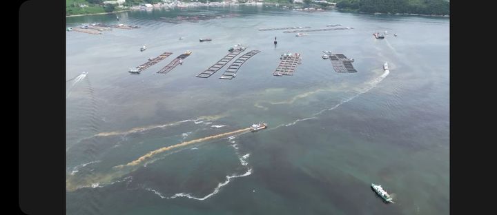 [통영=뉴시스] 신정철 기자= 경남 통영시는 지난 8월 29일 오후 2시, 관내 전 해역에 6년 만에 적조주의보가 발령됨에 따라 적조 확산 차단 및 어업인 피해 예방을 위해 전 행정력을 집중하고 있다고 1일 밝혔다.사진은 드론으로 촬영한 산양읍 일대의 적조 발생 해역.(사진=통영시 제공).2025.09.01. photo@newsis.com *재판매 및 DB 금지